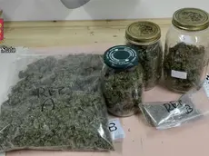 La marijuana sequestrata dalla Polizia