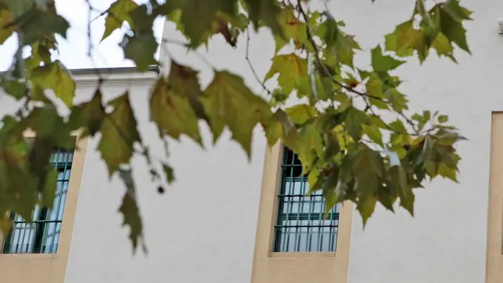 Le finestre del Coroneo di Trieste visto dall'esterno (fotoservizio di Massimo Silvano)