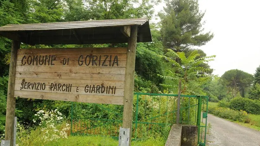 Bumbaca Gorizia 25.06.2014 Furto vivaio Lucinico Fotografia di Pierluigi Bumbaca