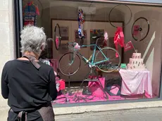 Padova si prepara ad accogliere il Giro d'Italia: qui la vetrina della pasticceria Al Duomo (foto Nicola Bianchi/Agenzia Bianchi)