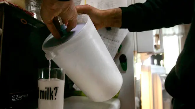 Darryl Williams pours a cold glass of fresh milk for a guest during a lunch break at his family's farm in Hatfield, Monday, Mass., May 21, 2007. The farm has been in the William's family since the 1600s. The average price paid to farmers for a gallon of milk last year was $1.16, while the cost to produce it in Massachusetts was about $1.60. Although milk prices are going up in the grocery store, farmers say that money isn't coming back to them because shelf prices are set by retailers. (AP Photo/Charles Krupa)