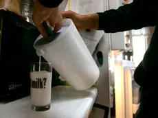 Darryl Williams pours a cold glass of fresh milk for a guest during a lunch break at his family's farm in Hatfield, Monday, Mass., May 21, 2007. The farm has been in the William's family since the 1600s. The average price paid to farmers for a gallon of milk last year was $1.16, while the cost to produce it in Massachusetts was about $1.60. Although milk prices are going up in the grocery store, farmers say that money isn't coming back to them because shelf prices are set by retailers. (AP Photo/Charles Krupa)