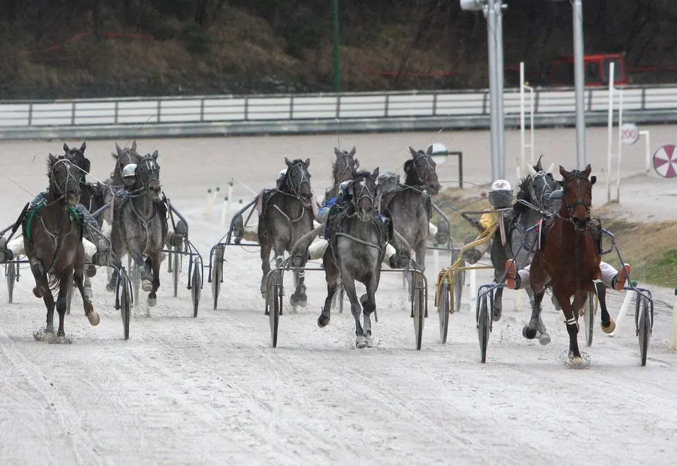 Una corsa all'ippodromo di Montebello teatro del grave incidente