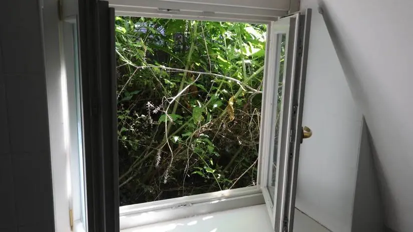 Bumbaca Gorizia 10.07.2020 Disagi all'ANMIC © Foto Pierluigi Bumbaca