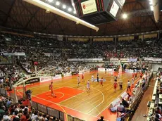 Foto BRUNI TRieste 14 06.12 Acegas Play-off-gara 5-Vince Trieste