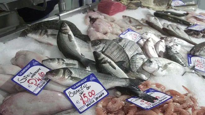 Lasorte Trieste - Pescheria -