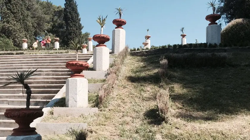 Quel che resta del parterre del parco di Miramare