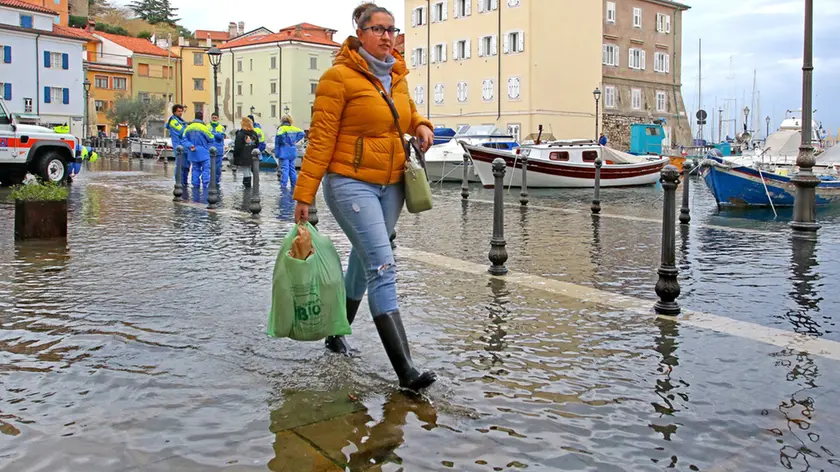 Lasorte Trieste 15/11/19 - Muggia, Mandracchio, Alta Marea, Acqua Alta