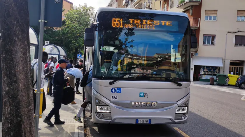 La linea 51 Apt