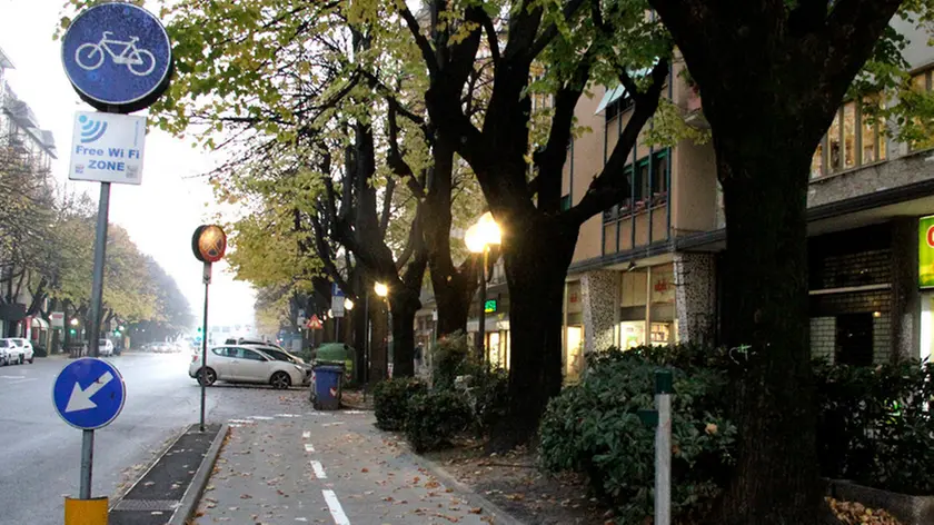 Bonaventura Monfalcone-10.11.2015 Pista ciclabile-Viale San Marco-Monfalcone-foto di Katia Bonaventura