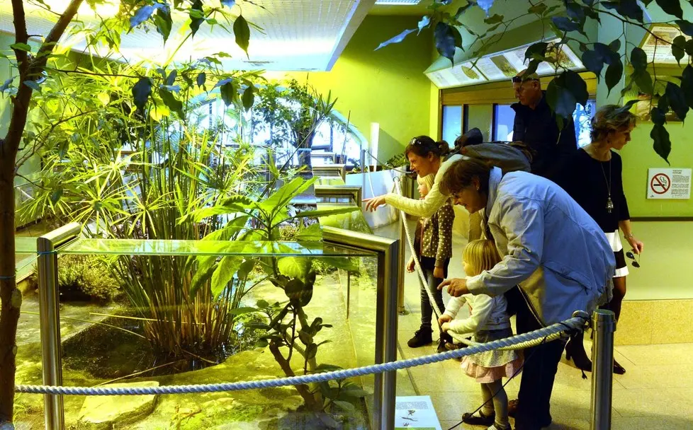 È il vivarium al momento l’attrazione più apprezzata dai visitatori dell’Aquario