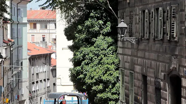 Il cantiere di via San Michele dello scorso anno: i lavori ripartiranno il 5 maggio