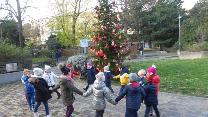 Una foto dell’albero di Natale addobbato dai bambini nel 2019 nei Giardini Europa di Muggia