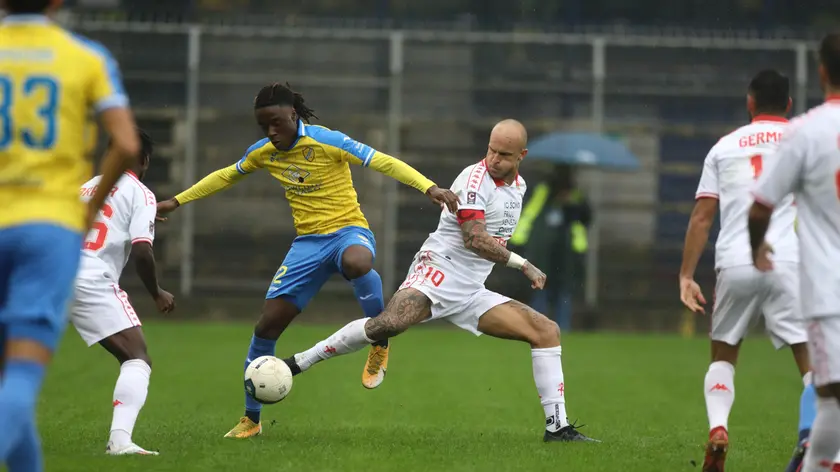 Pergolettese - Triestina. Foto Mariani /Lasorte