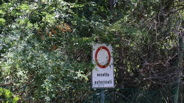 Bonaventura Monfalcone-13.08.2019 Ex discarica-Via Monte Sei Busi-Ronchi dei Legionari-foto di Katia Bonaventura