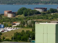 Silvano Trieste 19/05/2015 EZIT, le zone da bonificare presso la strada delle saline