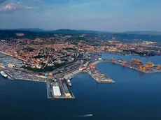 sterle trieste trieste dall'alto alla c a dott alessandro mezzena pregasi gentilmente di conservare queste foto