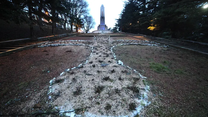 Quel che resta del roseto dopo il raid (foto Lasorte)