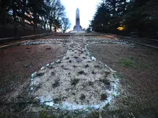 Quel che resta del roseto dopo il raid (foto Lasorte)