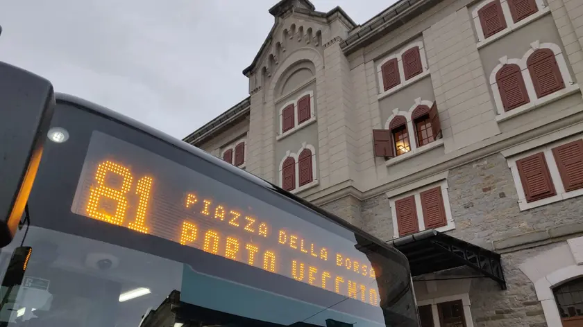 Il nuovo autobus della linea 81. Foto di Andrea Lasorte