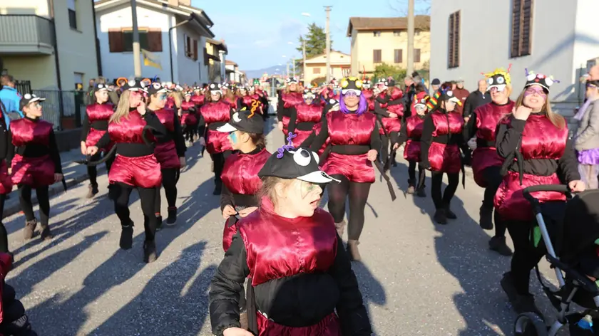 Il Carnevale a Romans d'Isonzo, edizione 2015