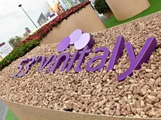 Posticipata la rassegna Vinitaly