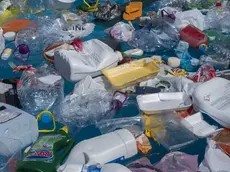 Plastic garbage floating in the ocean. Unlike organic debris, which biodegrades, the photodegraded plastic disintegrates into smaller and smaller pieces and it concentrates in the upper water column. As it disintegrates, the plastic ultimately becomes small enough to be ingested by aquatic organisms that reside near the ocean's surface. In this way, plastic may become concentrated in neuston, thereby entering the food chain. While eating their normal sources of food, plastic ingestion can be unavoidable or the animal may mistake the plastic as a food source. Portugal