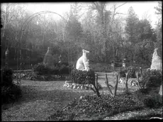 Fra rarità e meraviglie botaniche statue e fontane ornavano i giardini dei ricchi borghesi di Trieste. Il Parco Bazzoni, con le sue sculture, è fra i più rinomati Fototeca dei Civici Musei di Storia ed Arte