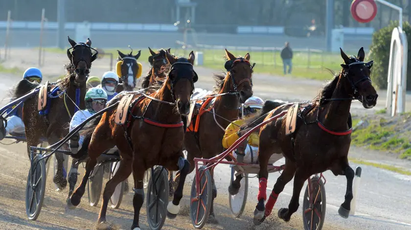 Una corsa all'ippodromo