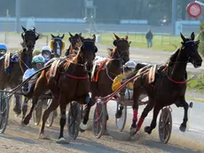 Una corsa all'ippodromo