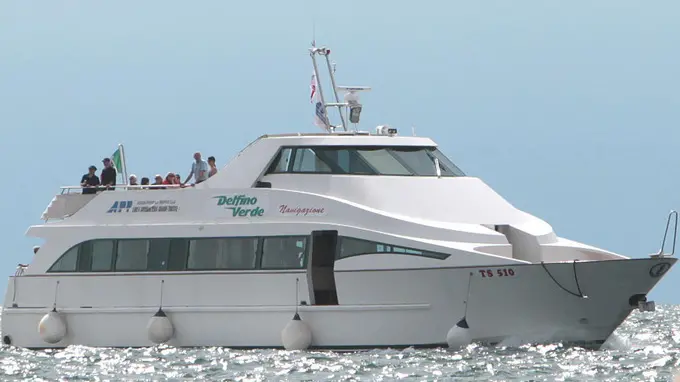 Lasorte Trieste 01/6/13 -Molo Audace, Delfino Verde