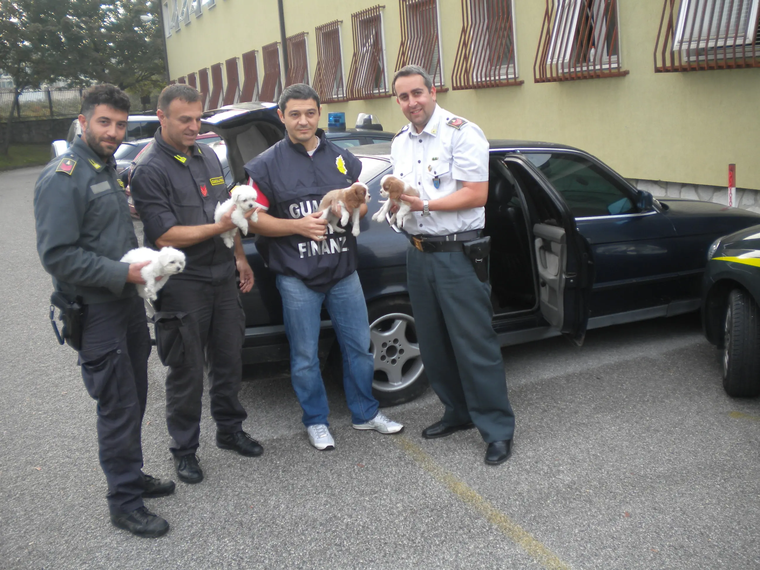 I cuccioli nelle mani dei finanzieri della Compagnia di Prosecco