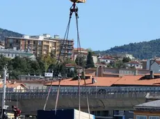 Foto BRUNI TRieste 29 09 10 Scalo Legnami