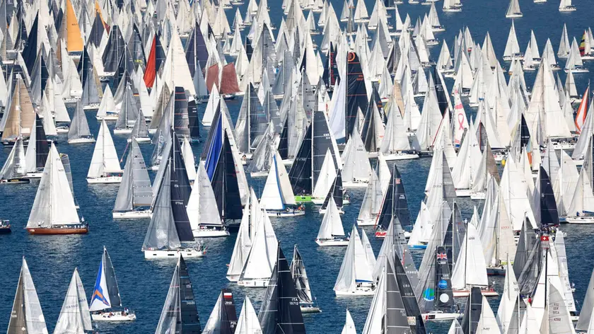 Vele in azione durante la Barcolana (Foto Borlenghi)