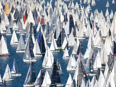 Vele in azione durante la Barcolana (Foto Borlenghi)