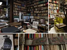 Gli interni della Libreria Saba a Trieste (Fotoservizio di Andrea Lasorte)