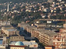 Il porto vecchio di Trieste