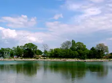 Un'isola della laguna di Grado