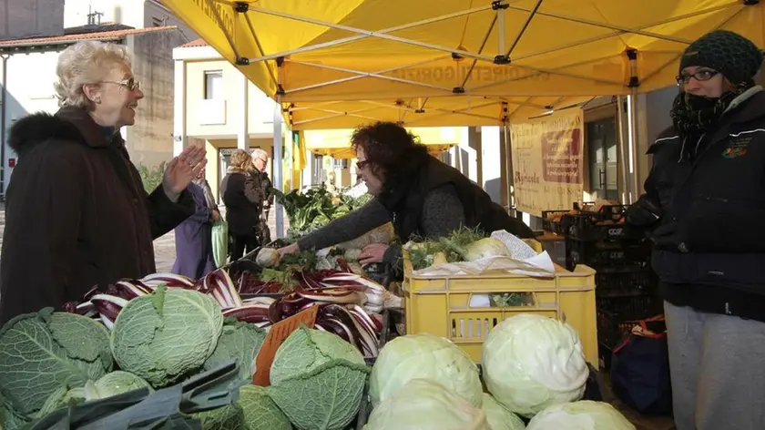 Bonaventura Monfalcone-11.01.2012 Mercato a chilometro zero-Piazza Falcone Borsellino-Monfalcone-foto di Katia Bonaventura