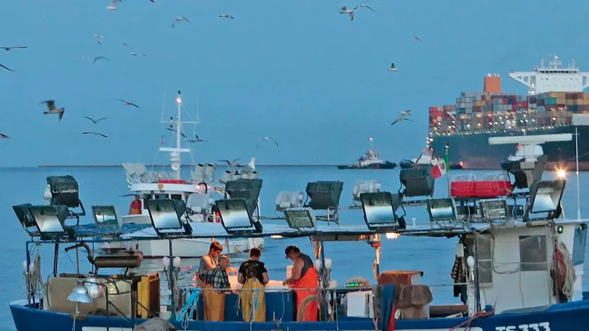 Una barca di pescatori al lavoro nel golfo di Trieste in un’immagine d’archivio. (Foto Massimo Silvano)