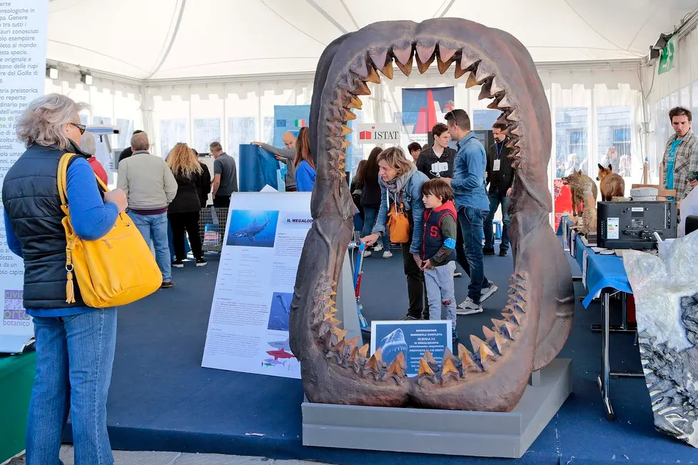 Silvano Trieste 2018-09-30 Trieste Next, ultima giornata