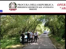 L'operazione a Trebiciano