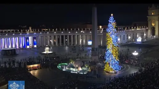 Il presepe di Grado e l'albero di Ledro iluminati in piazza San Pietro