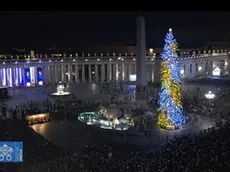 Il presepe di Grado e l'albero di Ledro iluminati in piazza San Pietro