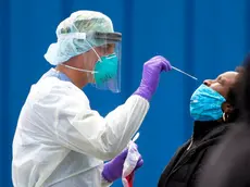 epa08417185 Medical personnel performs a COVID-19 test on a patient at a walk up site in Boston, Massachusetts, USA, 12 May 2020, amid the ongoing coronavirus COVID-19 pandemic. Countries around the world have closed borders, schools as well as public facilities, and have cancelled most major sports and entertainment events in order to prevent the spread of the SARS-CoV-2 coronavirus causing the COVID-19 disease. EPA-EFE/CJ GUNTHER