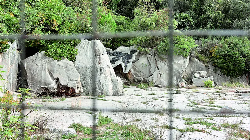 Un’immagine del sito paleontologico del Villaggio del Pescatore visto da oltre la recinzione Foto Lasorte