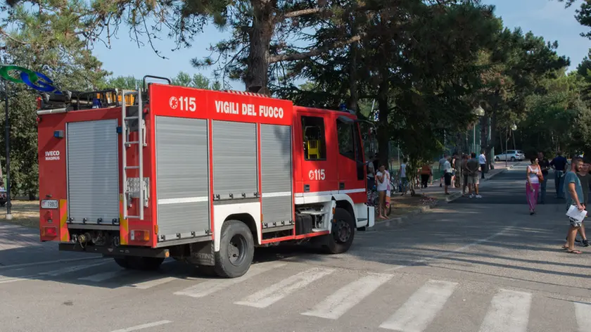 Lignano 13 Agosto 2015. Incendio pineta Getour. Foto Petrussi