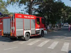 Lignano 13 Agosto 2015. Incendio pineta Getour. Foto Petrussi