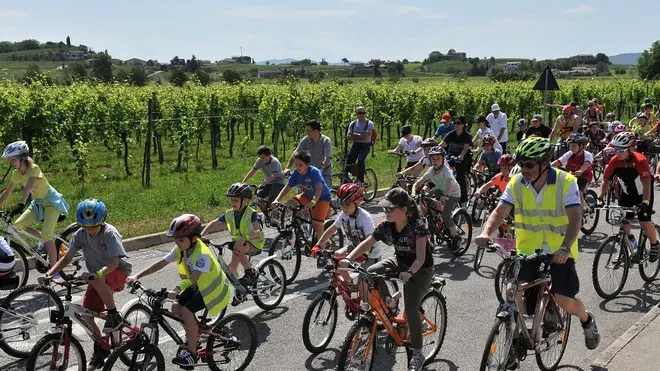 Cormons, 25 maggio 2014 Bimbi in bici. Copyright Foto Petrussi / Ferraro Simone