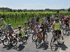 Cormons, 25 maggio 2014 Bimbi in bici. Copyright Foto Petrussi / Ferraro Simone